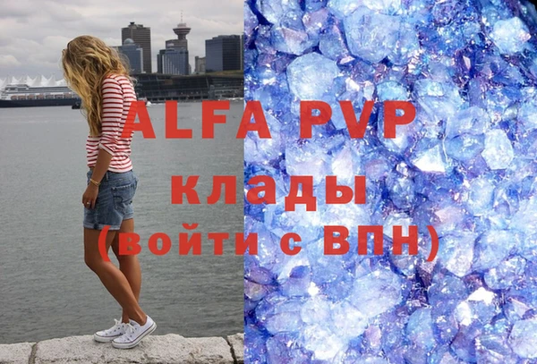 дмт Алзамай